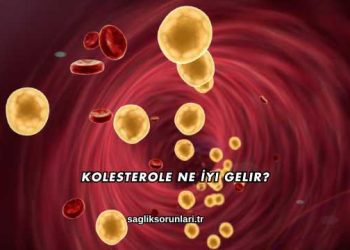 Kolesterole Ne İyi Gelir?