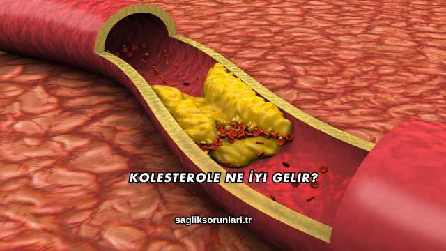 Kolesterole Ne İyi Gelir?