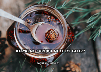 Kozalak Şurubu Neye İyi Gelir?