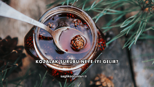 Kozalak Şurubu Neye İyi Gelir?