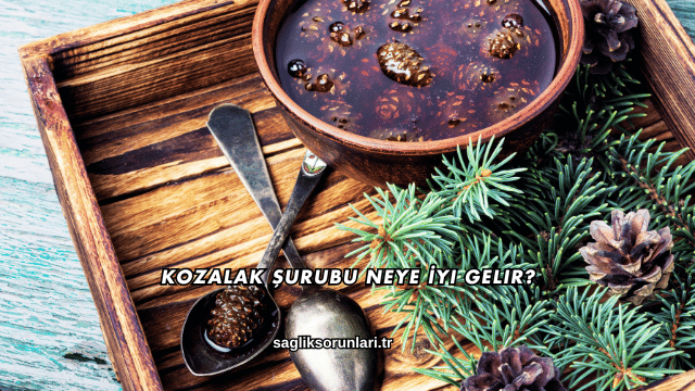 Kozalak Şurubu Neye İyi Gelir?