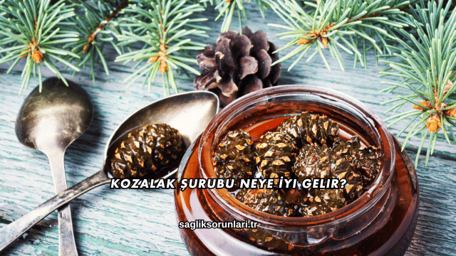 Kozalak Şurubu Neye İyi Gelir?