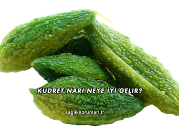 Kudret Narı Neye İyi Gelir?