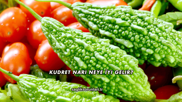 Kudret Narı Neye İyi Gelir?