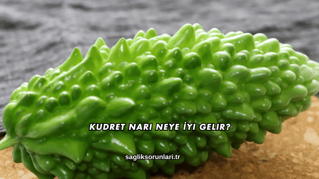 Kudret Narı Neye İyi Gelir?