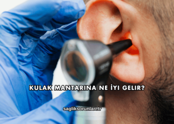 Kulak Mantarına Ne İyi Gelir?