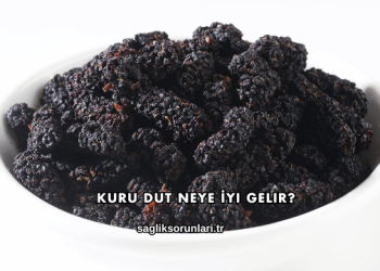 Kuru Dut Neye İyi Gelir?