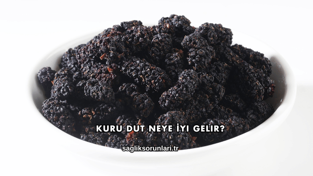 Kuru Dut Neye İyi Gelir?