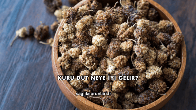 Kuru Dut Neye İyi Gelir?