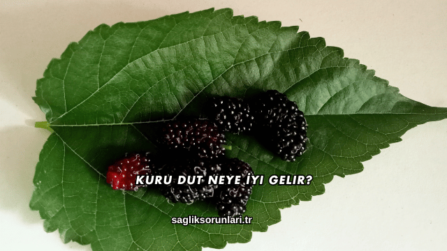 Kuru Dut Neye İyi Gelir?
