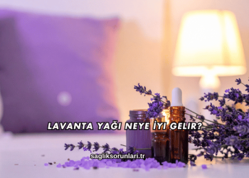 Lavanta Yağı Neye İyi Gelir?
