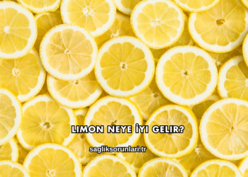 Limon Neye İyi Gelir?