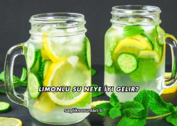 Limonlu Su Neye İyi Gelir?