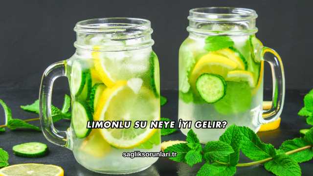 Limonlu Su Neye İyi Gelir?