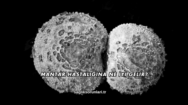 Mantar Hastalığına Ne İyi Gelir?