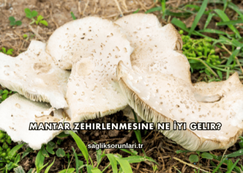 Mantar Zehirlenmesine Ne İyi Gelir?