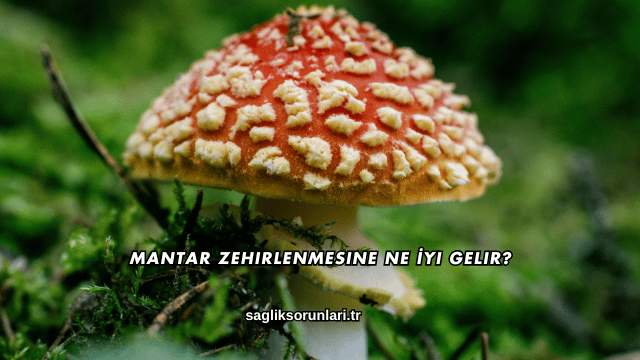 Mantar Zehirlenmesine Ne İyi Gelir?