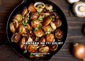 Mantara Ne İyi Gelir?