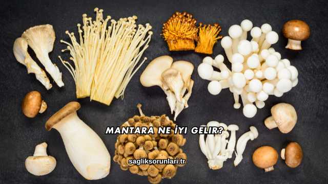 Mantara Ne İyi Gelir?