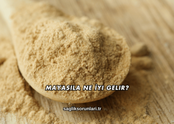 Mayasıla Ne İyi Gelir?