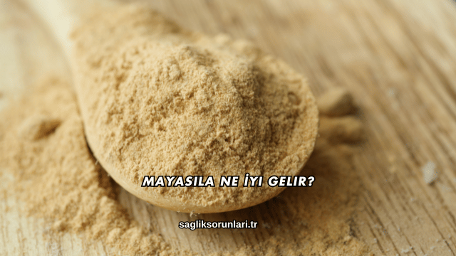 Mayasıla Ne İyi Gelir?