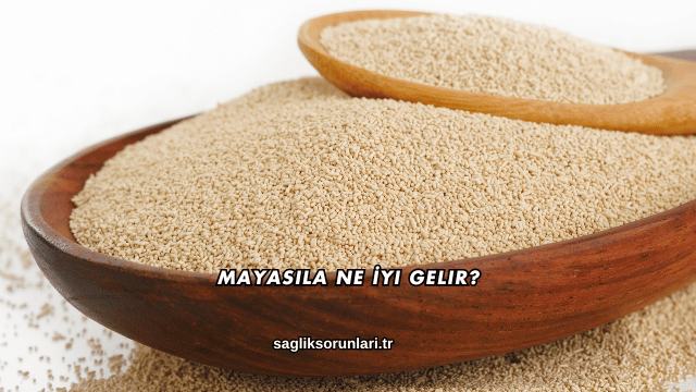Mayasıla Ne İyi Gelir?