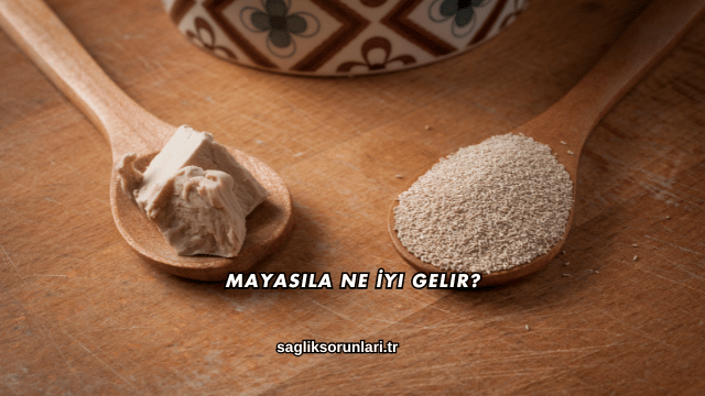 Mayasıla Ne İyi Gelir?