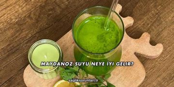 Maydanoz Suyu Neye İyi Gelir?