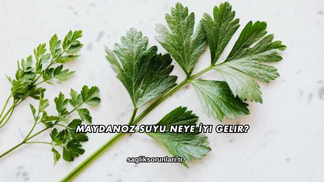 Maydanoz Suyu Neye İyi Gelir?