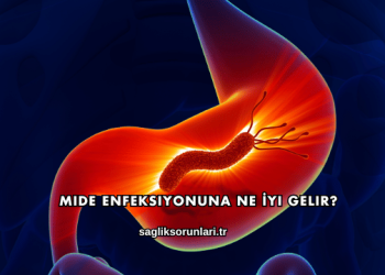 Mide Enfeksiyonuna Ne İyi Gelir?