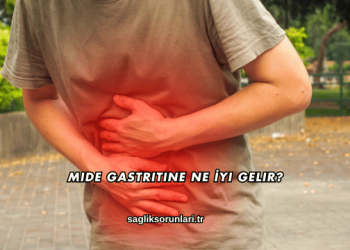 Mide Gastritine Ne İyi Gelir?