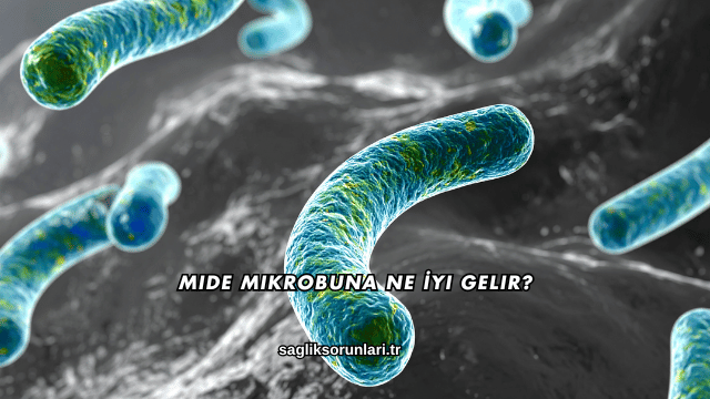 Mide Mikrobuna Ne İyi Gelir?