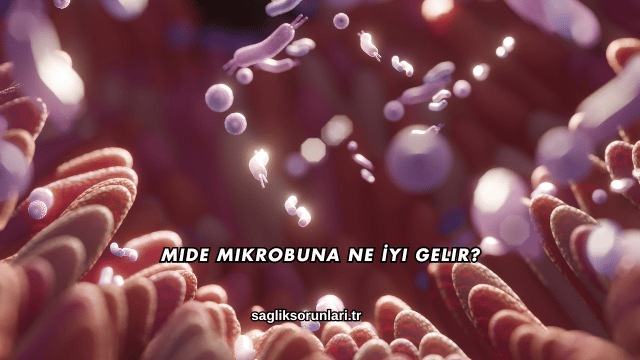 Mide Mikrobuna Ne İyi Gelir?