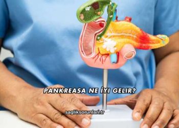 Pankreasa Ne İyi Gelir?