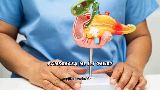 Pankreasa Ne İyi Gelir?