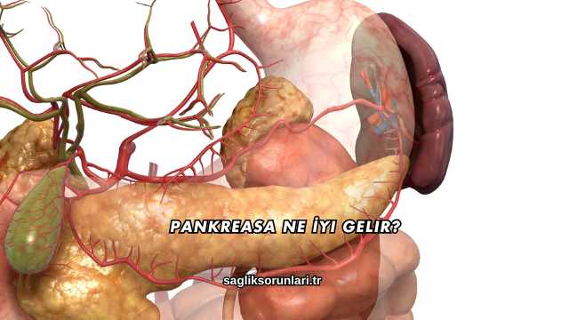 Pankreasa Ne İyi Gelir?
