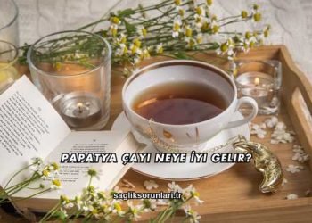 Papatya Çayı Neye İyi Gelir?