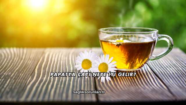 Papatya Çayı Neye İyi Gelir?