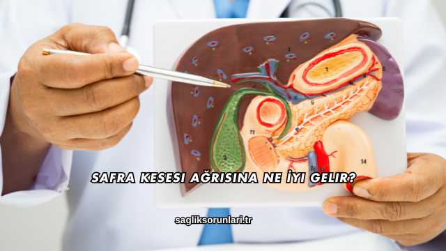 Safra Kesesi Ağrısına Ne İyi Gelir?
