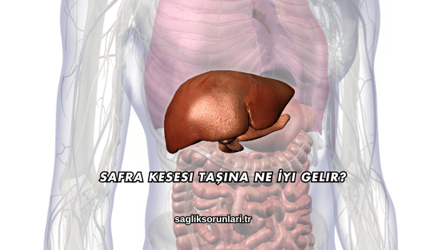 Safra Kesesi Taşına Ne İyi Gelir?