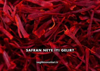 Safran Neye İyi Gelir?