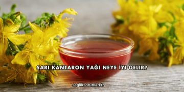 Sarı Kantaron Yağı Neye İyi Gelir?