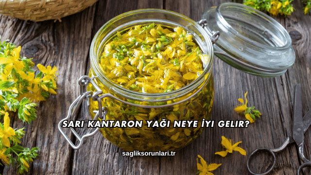 Sarı Kantaron Yağı Neye İyi Gelir?