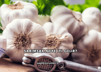 Sarımsak Neye İyi Gelir?
