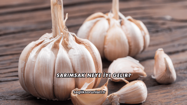 Sarımsak Neye İyi Gelir?