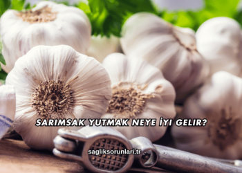 Sarımsak Yutmak Neye İyi Gelir?