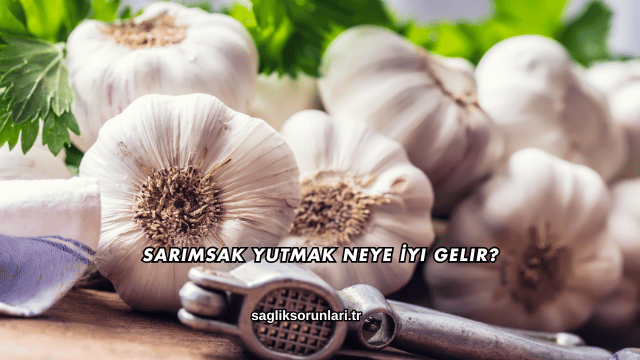 Sarımsak Yutmak Neye İyi Gelir?