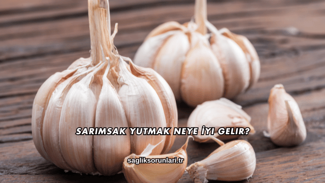 Sarımsak Yutmak Neye İyi Gelir?