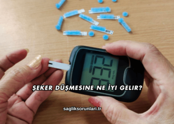 Şeker Düşmesine Ne İyi Gelir?
