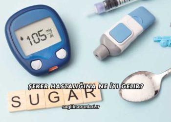 Şeker Hastalığına Ne İyi Gelir?